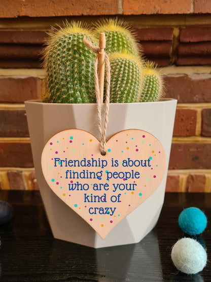 Handmade Wooden Hanging Heart Plaque Gift Friendship Your Kind of Crazy Funny Wall hanger Friend Colleague Present Card Alternative