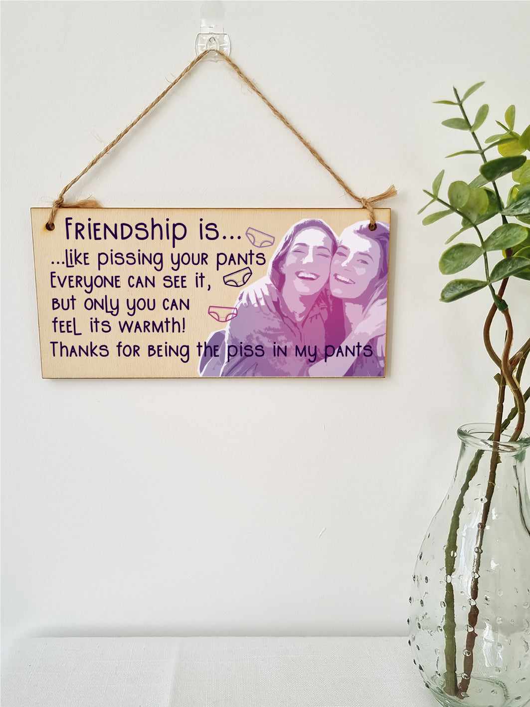 Handmade Wooden Hanging Wall Plaque Friendship is Like Pants Feel It's Warmth Funny Joke Rude Gift Sign