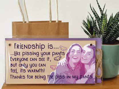 Handmade Wooden Hanging Wall Plaque Friendship is Like Pants Feel It's Warmth Funny Joke Rude Gift Sign