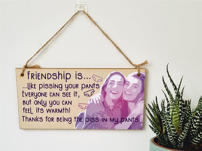 Handmade Wooden Hanging Wall Plaque Friendship is Like Pants Feel It's Warmth Funny Joke Rude Gift Sign