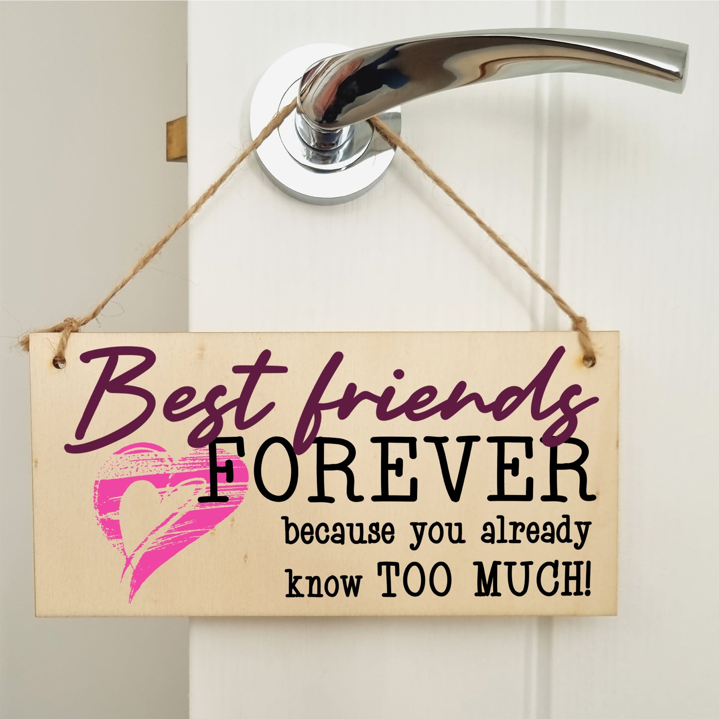 Best Friends Forever Know Too Much Funny Handmade Wooden Hanging Wall Plaque Decoration Gift BFF Bestie Friendship